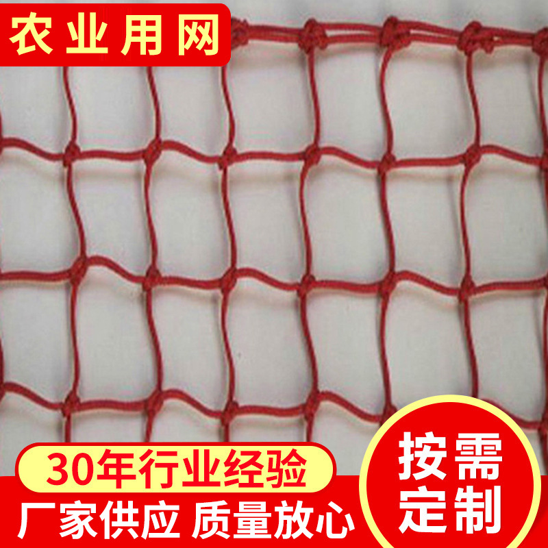 厂家供应现货批发聚乙烯渔网 农业用网 体育用网量大价优