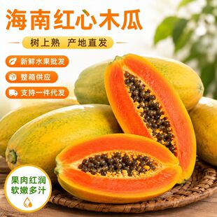����ľ�����rˮ�����l�t��ľ�Ϙ��������乩���a��ֱ�lһ�����l