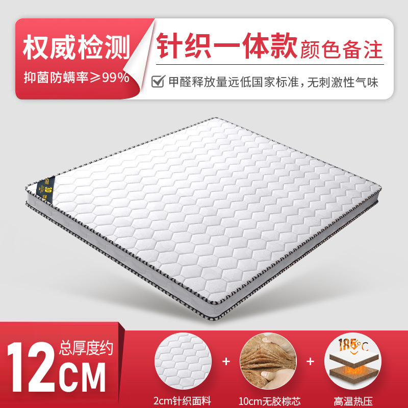 天然椰棕床垫硬垫1.5m护脊棕垫榻榻米垫子可折叠出租房用棕榈床垫|undefined