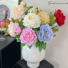 2�^ĵ�����滨����ܛ�b���߷����ذ���ș�ٻ���c�b�������