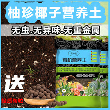 ����Ҭ�ӠI�B�� ͨ���͌���������͸��ֲ�����Ի��ܷNֲ��