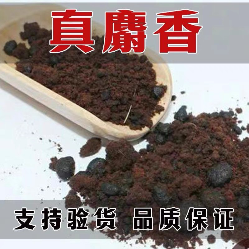 In Stock [Pure and High-Quality Musk] Pure and Authentic Chinese Medicinal Material Musk Raw Materials Wholesale, Fast Delivery for Use