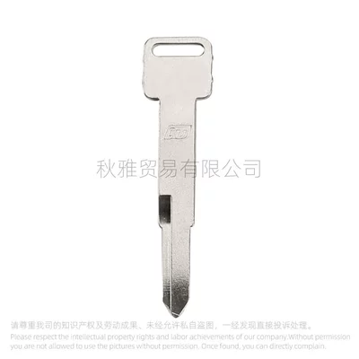 LIKE150 Dynamic Key Embryo with – Motorcycle Key - right-cut-light-plate-blanks