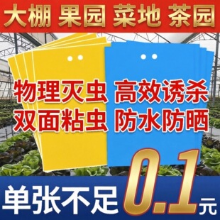 �S��ֱ�N�S�{�p��ճ�x�� �����T�����x��ʭ�E�R �r�I���xճ��