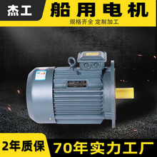 船用三相异步电动机Y112M-4-4KW 4KW 钢芯大功率卧立同轴式马达