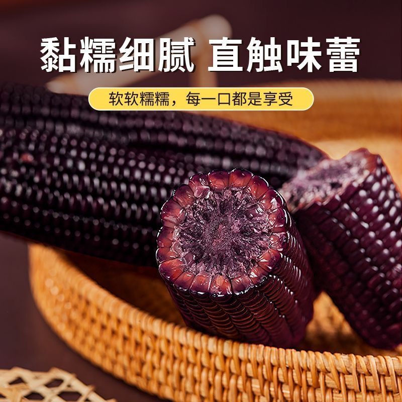 东北黑糯玉米200-300g根糯香软甜新鲜真空包装根根饱满农户直销|undefined