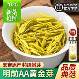 2026黄金芽茶叶散批 安吉春茶白茶绿茶新茶250g礼盒装 自己喝特级