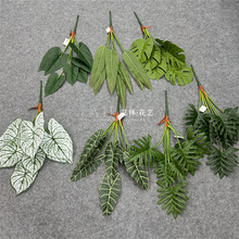 7������и�֦�Gֲ �����~ɢβ�������쾰ɭϵ�廨�b�ˇܛ�b