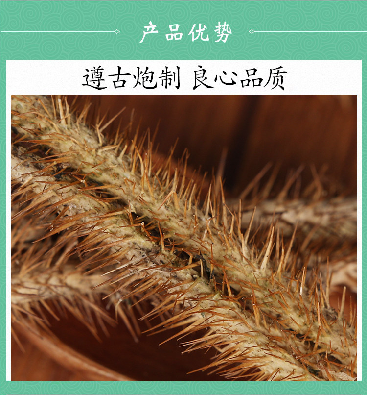 Wild Siberian Ginseng Bark Ci Wu Jia 刺五加 Dried Root Bark 200g Hand Peeled Core Removed quality and texture