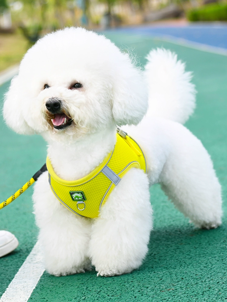 Поводок для собак мелких пород, жилет, бишон, Тедди, померанский шпиц, щенок, шлейка для собак, веревка для прогулок, цепочка для собак