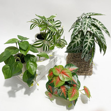 ���R�d����ֲ��ڒ�3D��ӡ����Gֲ��ü�~�����~�҃ȼҾ��b�����