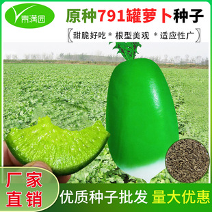 ���^�}���N�у��x791���}���N�����ﶬ���Ѵ�A��Ƥ����_���N��