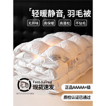 羽绒被冬被芯五星级酒店单人加厚保暖春秋被子四季通用
