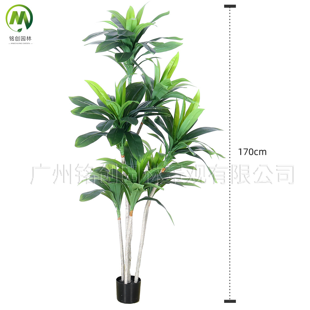 Planta verde de simulación de piso a gran escala, árbol de hierro rojo, madera brasileña, decoración interior, planta de simulación, hierro brasileño de borde amarillo