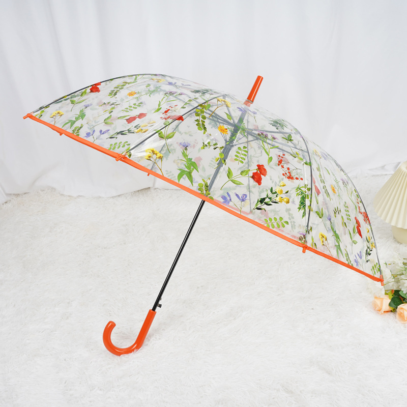 ͸ɡŮ黨ϸɡԶֱɡ8ɡ߼Сɡ