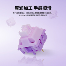 CеSSw5_SCеIPDIYƻxӰS