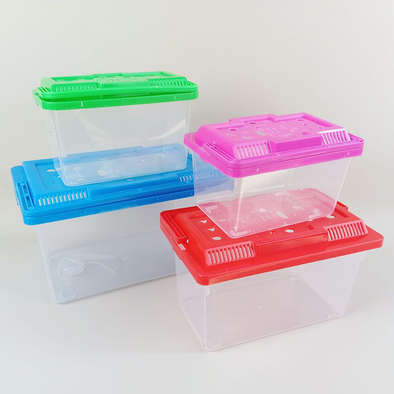 Pecera Mini con Tapa para Tortugas de Plástico Transparente, Con Tapa, para Sala de Estar image 14
