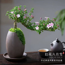 �t������ѩ�辰�����Ϙ������辰�k���҃Ⱥ��BС���ԾGֲ��������