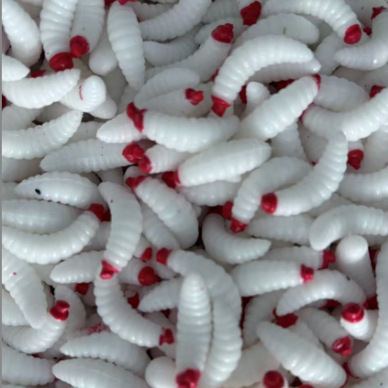 微信图片_20250221172250