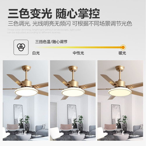 Five-blade stainless steel ceiling fan, modern simple chandelier for living room and restaurant, new household variable frequency silent electric fan lamp