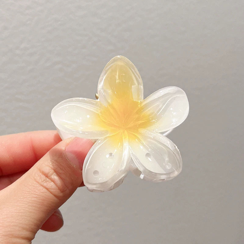 跨境热卖鸡蛋花发夹透明渐变花朵发夹后脑勺半扎发抓夹气质鲨鱼夹|undefined