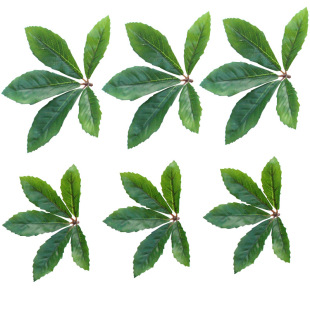 ������~���ę�ֲ���Ĳ�̱����~��������~����������~�S�����l