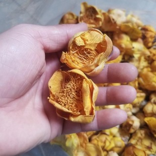 �؃r�𻨲���~���ɻ�50g�B�����ɻ��V���𻨲����lɢ��