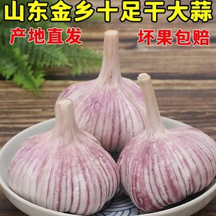 �؃rɽ�|���l��Ƥ�����^�������l2024���r�{�r������y�����ش�gh