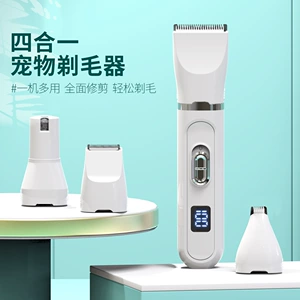 Cross -Bordder New Product Pet Electric Molar Molar показывает, что зарядка USB Multi -function 4 -In -Pet Rayer