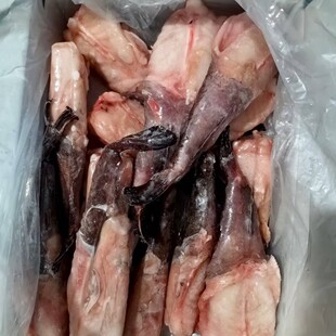 �����~��ȥ�~βMONKFISH���S�����~���������W���n��