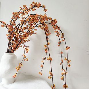 ����ʽ���������� Ұ�� ��֧�ۼt��ʽ�b���л��� �Ĕz����