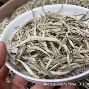 2026����ǰ���� �^���^�� ��ϰײ�ɢ�� �׺��y�500�� �׆�ѿ��