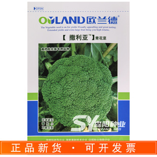 �W�m���������໨�˷N�Ӹߙn�ﻨ��Ʒ�N65�����������m���s���G��
