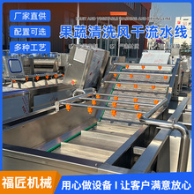 全自动水果蔬菜涡流清洗机 商用高压气泡清洗机 净菜加工流水线