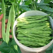 �ض���һ̖���ǷN�Ӵ�ȫ�ļ����ݰ�ɏ���N��ԭ�b�N�Ӵ�ȫ���l���l