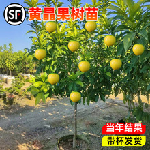 �����I�B���l؛�������S��������������ļ��Nֲ�箔��Y���޽���