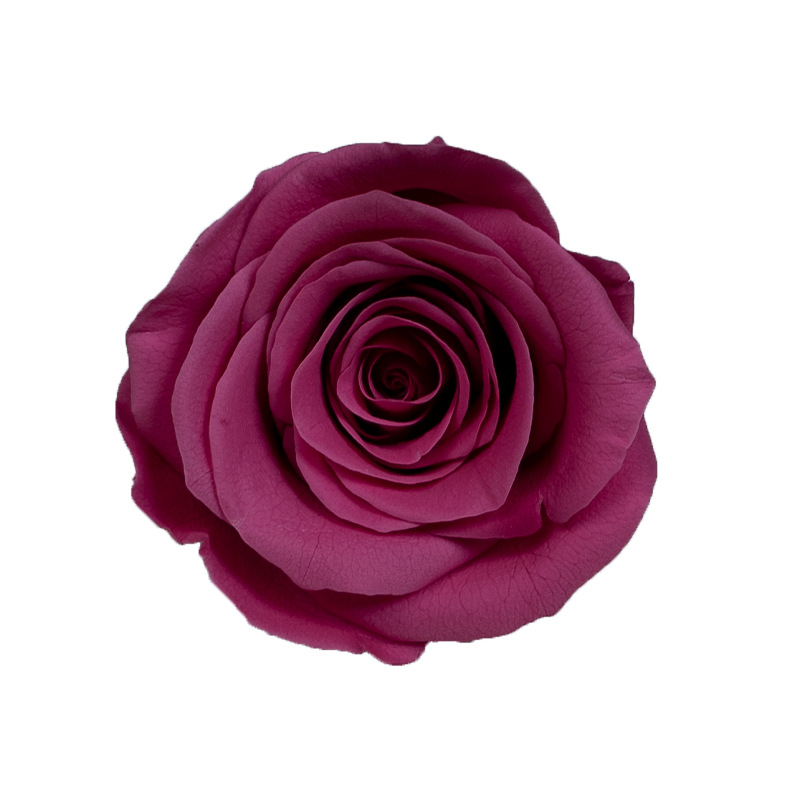 4-5cm 8 Flores, grado B DIY flores eternas, rosas eternas, Yunnan Kunming al por mayor, flores preservadas