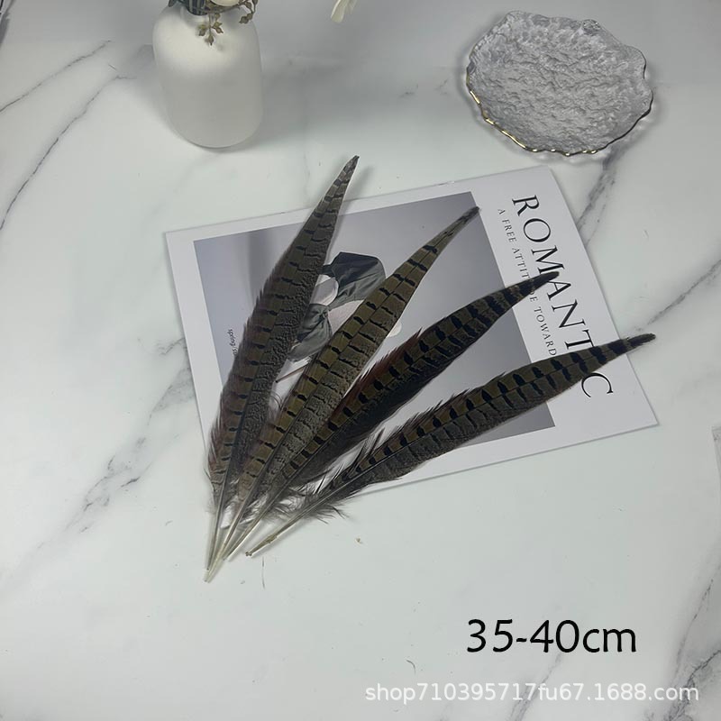 Fábrica al por mayor pelo de faisán 10-90cm cola de faisán pluma de bricolaje danza plumas de faisán cola de gallina palo de gato divertido image 15