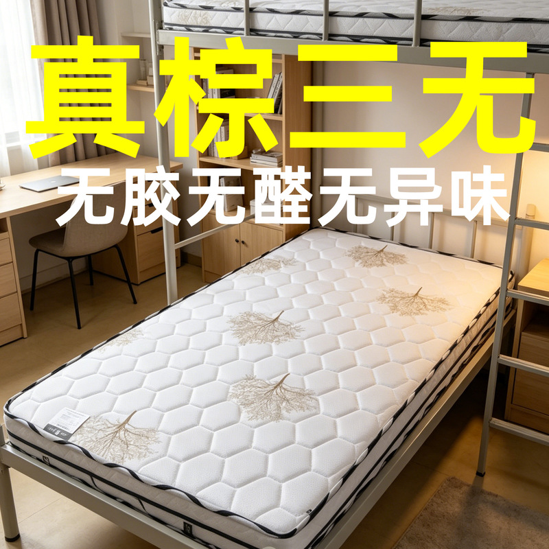 Wholesale Student Dormitory Mattresses for Rental Use 10cm Dormitory Apartment Double Bed 1.5X 2m Thick Mattress Pad