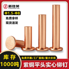 現貨紫銅平頭ソリッドリベットGB109丸頭小リベットM2M3手打ち式平丸頭リベット