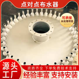 不锈钢点对点布水器工业废水污水处理厌氧罐水解酸化池多点布水器