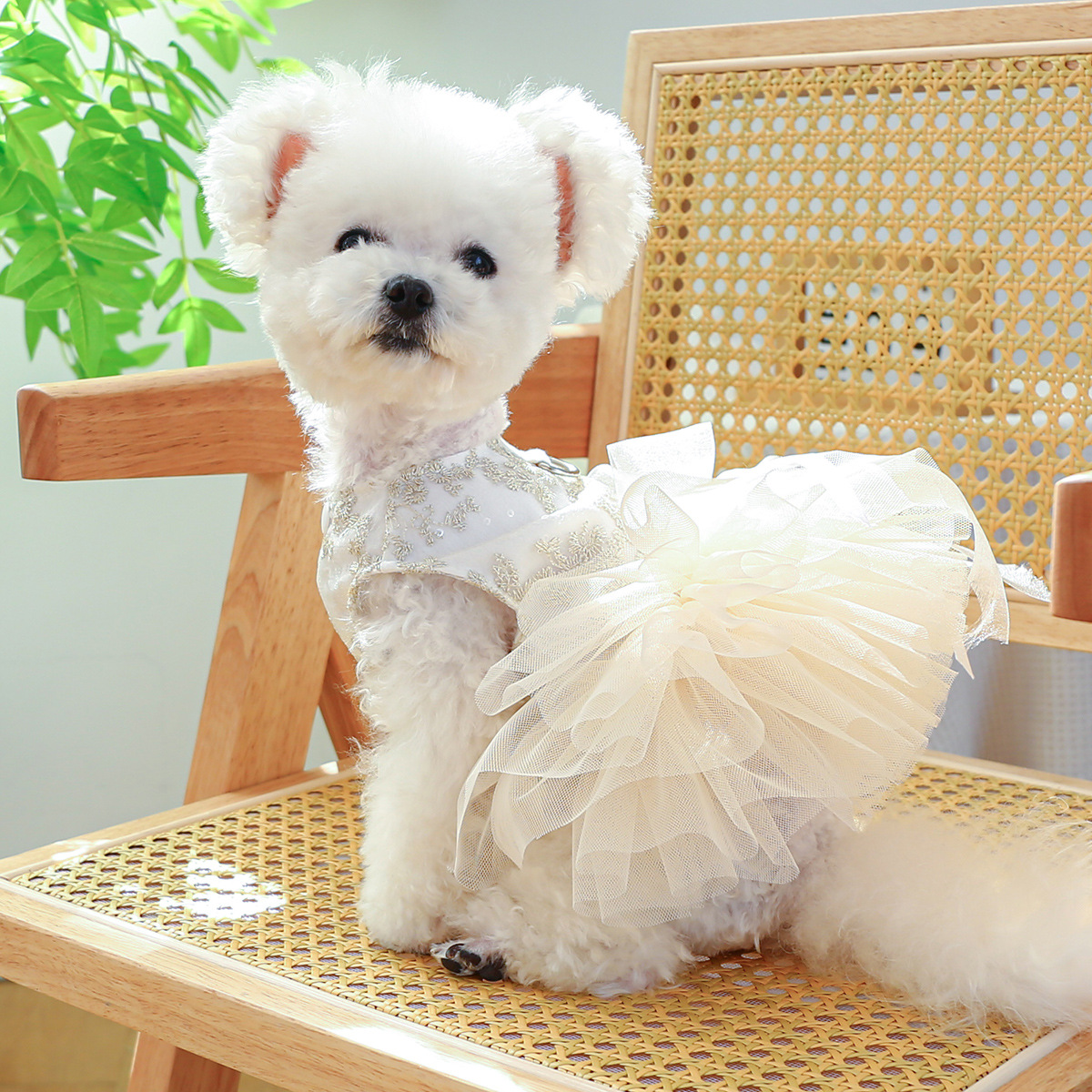 100g Weight Pet Clothing Type Of Pet Supplies 1 Piece Quantity Casual, Daily Occasion Polyester Material Bow Knot Pattern Summer Season Sweet Style Sweet Polyester Bow Knot Pet Clothing 无