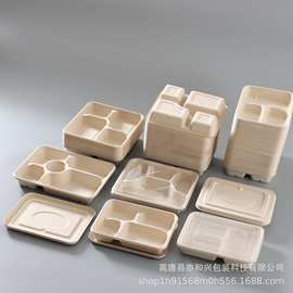 一次性可降解纸浆多格餐盘三格四格五格六格学校食堂外卖打包餐盒