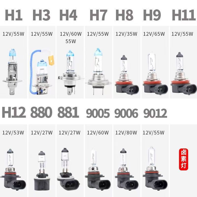 微信图片_20250626202929_81