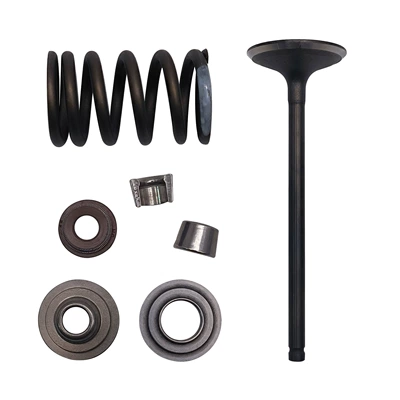Motorcycle engine and accessories Chunfeng 500 ATV