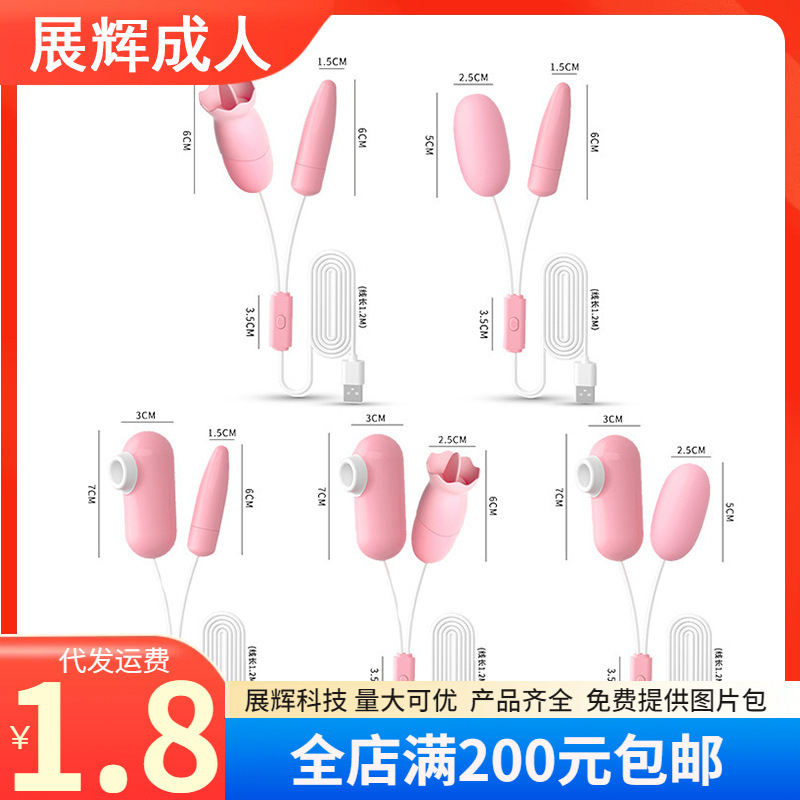 Laile Flirting Eggs A/B/C/D/E Sakura Powder USB Bagged Women's G-spot Fun Jumping Eggs Wholesale