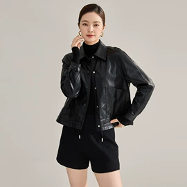 连衣裙;半身裙;其他短外套