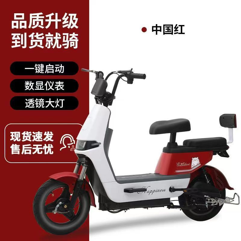 Nuevo colorido caballo adulto para caminar dos ruedas de larga duración fabricantes de automóviles de batería al por mayor vehículos eléctricos autónomos