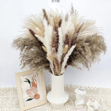 JȔbȔСJȔɻβСmb[͏dMQl