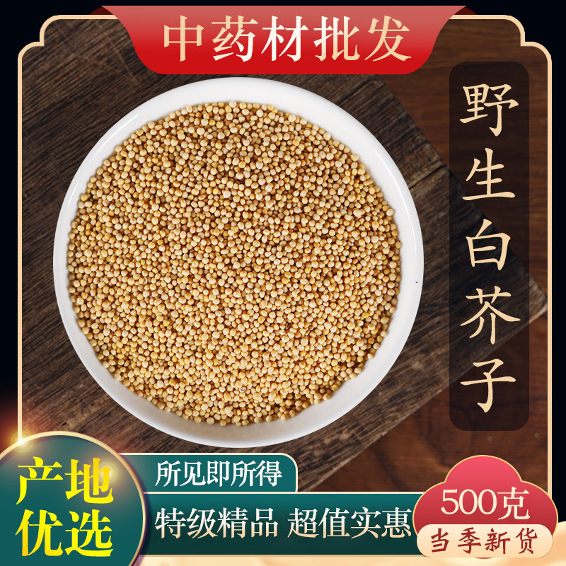 Premium Wild White Mustard Seeds 500g New Stock Authentic Chinese Herbal Medicine White Mustard Seeds Tea Premium Wild White Mustard Seeds 500g New Stock Authentic Chinese Herbal Medicine White Mustard Seeds Tea
